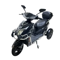 Электротрицикл FUDUDU Q1